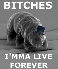tardigrade_gonna_live